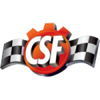 CSF