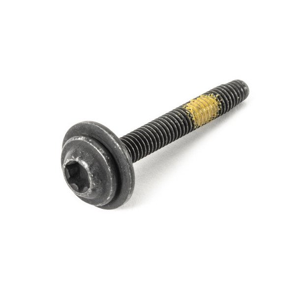 Bumper Panel Screw