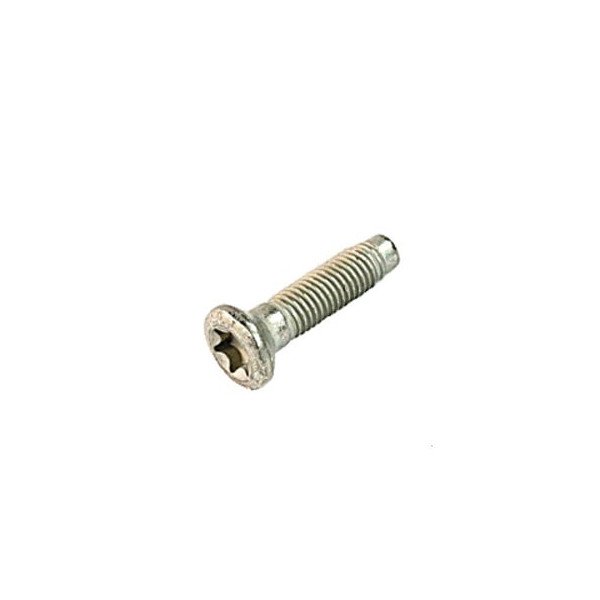 Tailgate Hinge Screw Tailgate Hinge Screw