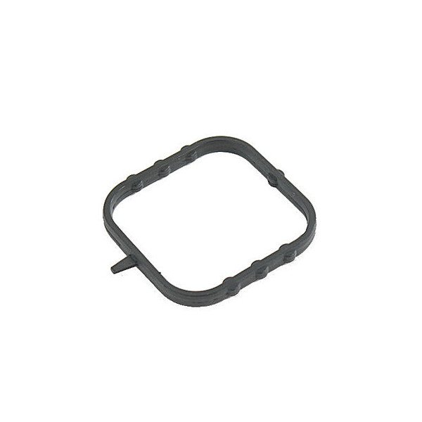 Mopar, Water Pump Gasket, for 18-23 Jeep Wrangler JL with 2.0L Engine