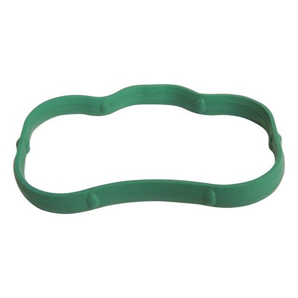 Intake Manifold Seal, Lower Intake Manifold Seal, Lower