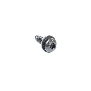 Torx Bolt