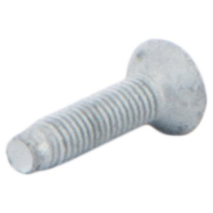 Door Striker Screw