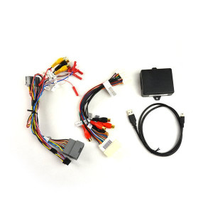Dual Video Input Interface for 6.1" MyGig Display Radios