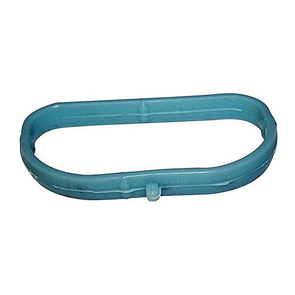 Intake Manifold Seal