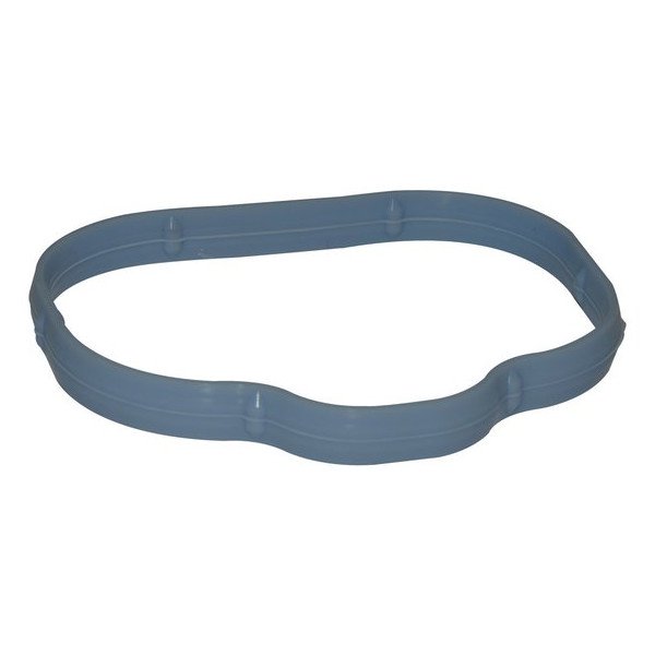 Lower Intake Manifold Gasket