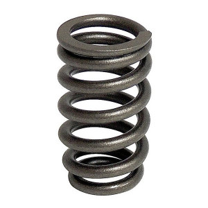 Valve Spring