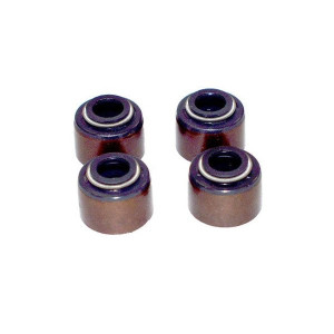 Intake Valve Seal