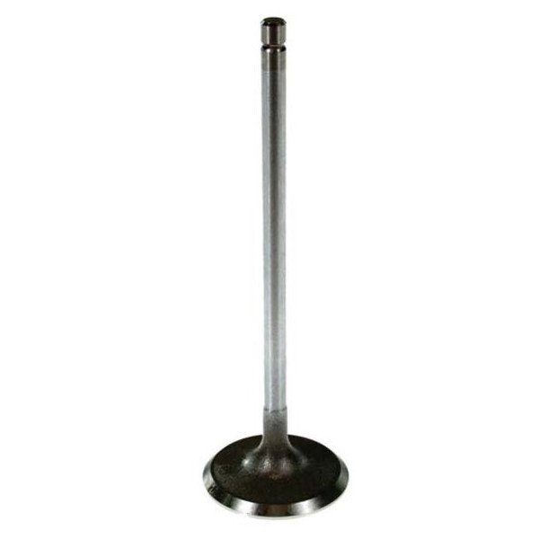 Intake Valve