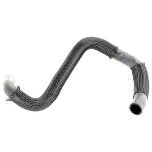 Lower Radiator Hose