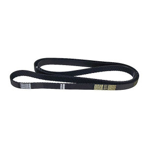 Accessory Drive Belt Accessory Drive Belt