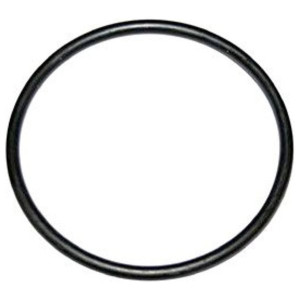 O Ring Fuel Sender