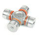 X-Joint