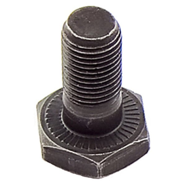 Ring Gear Bolt