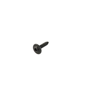 Door Panel Torx Screw