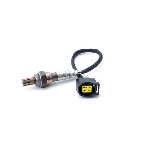 O2 Sensor
