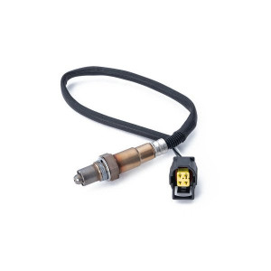 O2 Sensor