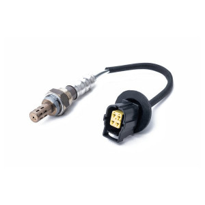 O2 Sensor