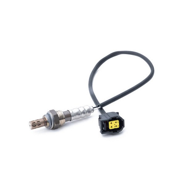 O2 Sensor