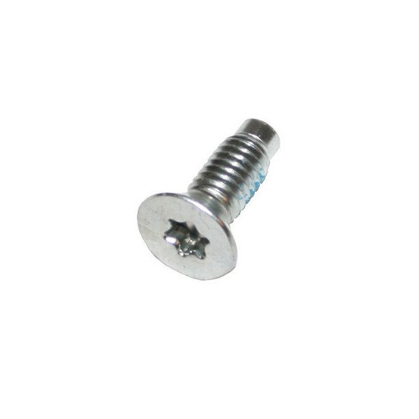 Windshield Hinge Screw