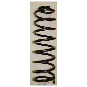 Front Coil Spring